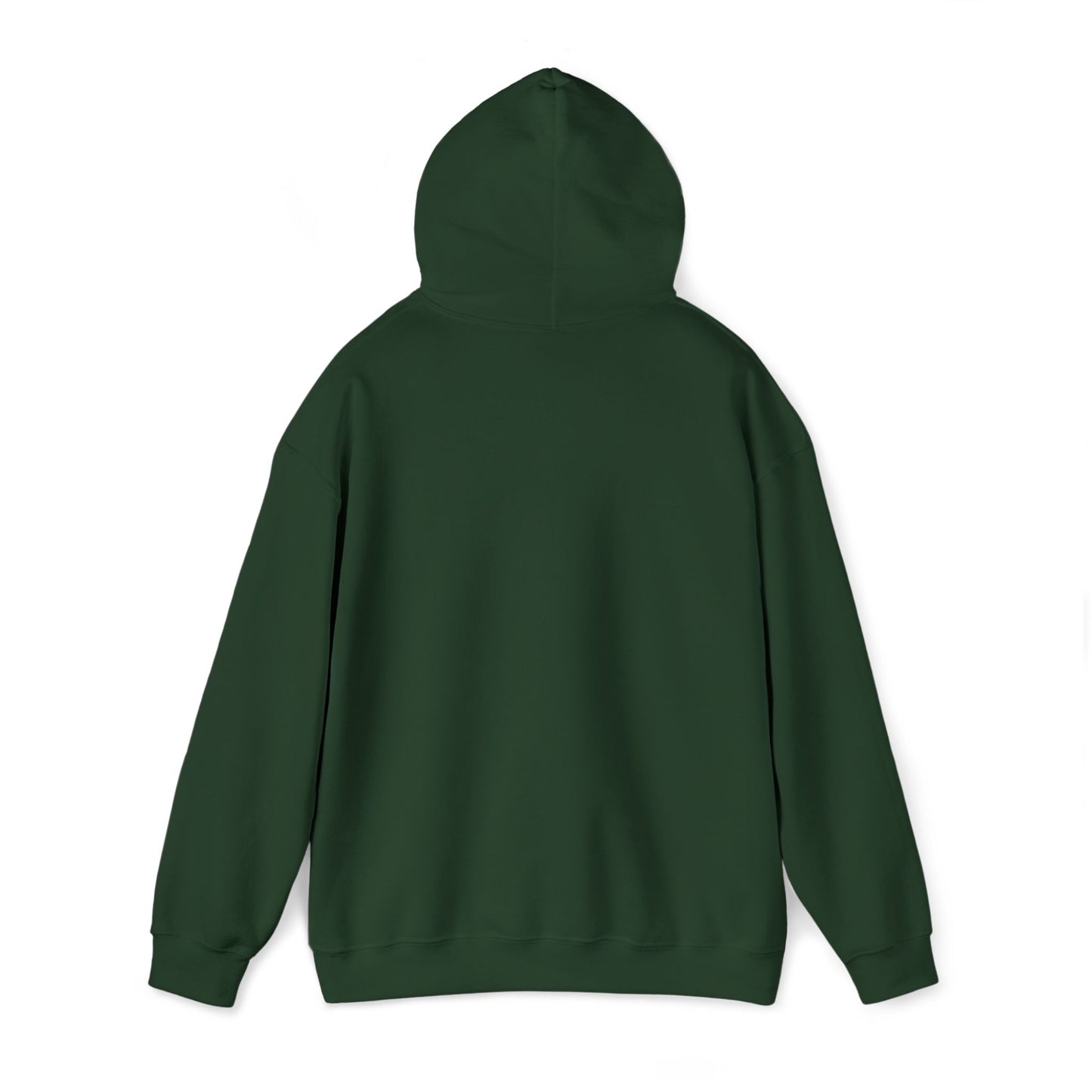 ASE OO Heavy Blend™ Hooded Sweatshirt